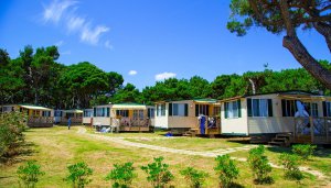 Camping Medulin - areál, foto 4