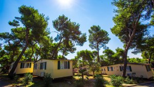 Camping Indije - areál, foto 2