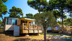 Camping Indije - areál, foto 1