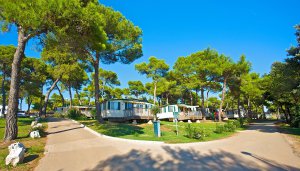Camping Indije - areál, foto 10