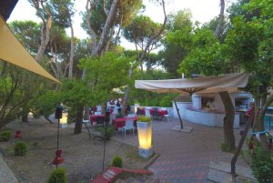 Rosapineta Camping Village*** - areál, foto 4